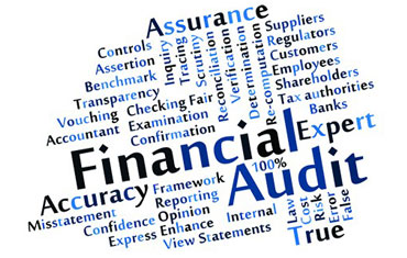 Audit Assurance